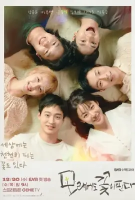 ดูซีรี่ย์ฟรี Like Flowers In Sand (2023)